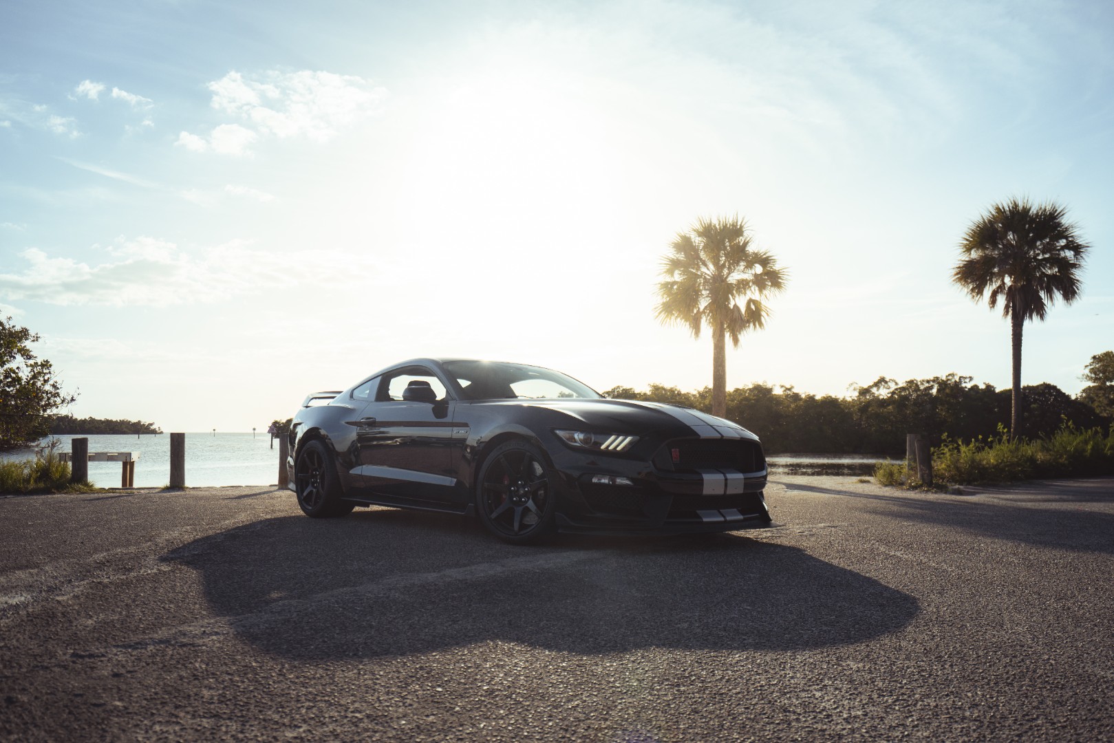2016 Ford Mustang Shelby GT350R