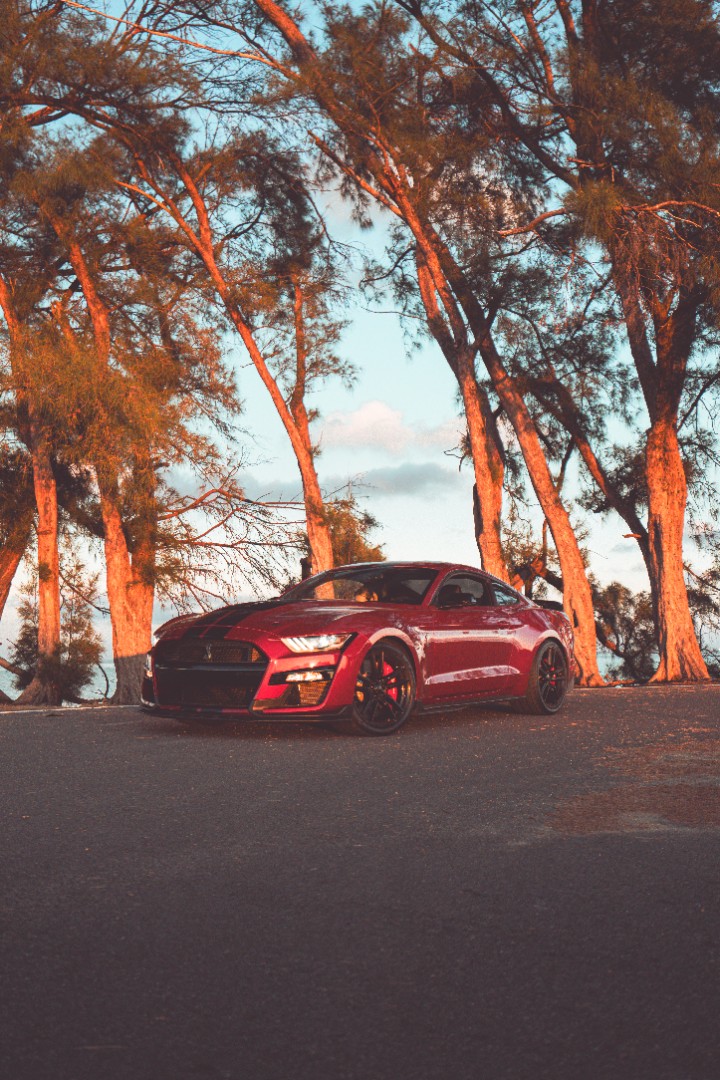 2020 Ford Mustang Shelby GT500 - Secondary View