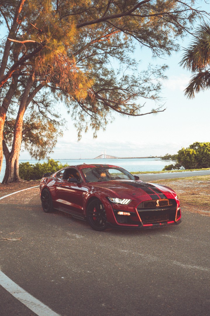 2020 Ford Mustang Shelby GT500 - Secondary View